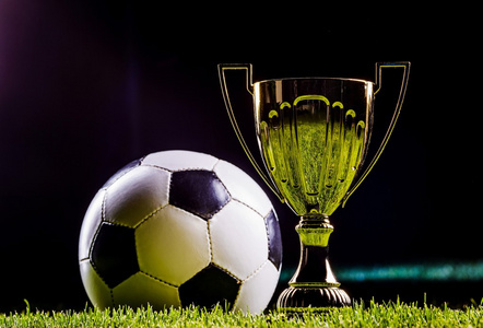 传球视野为 传球视野为