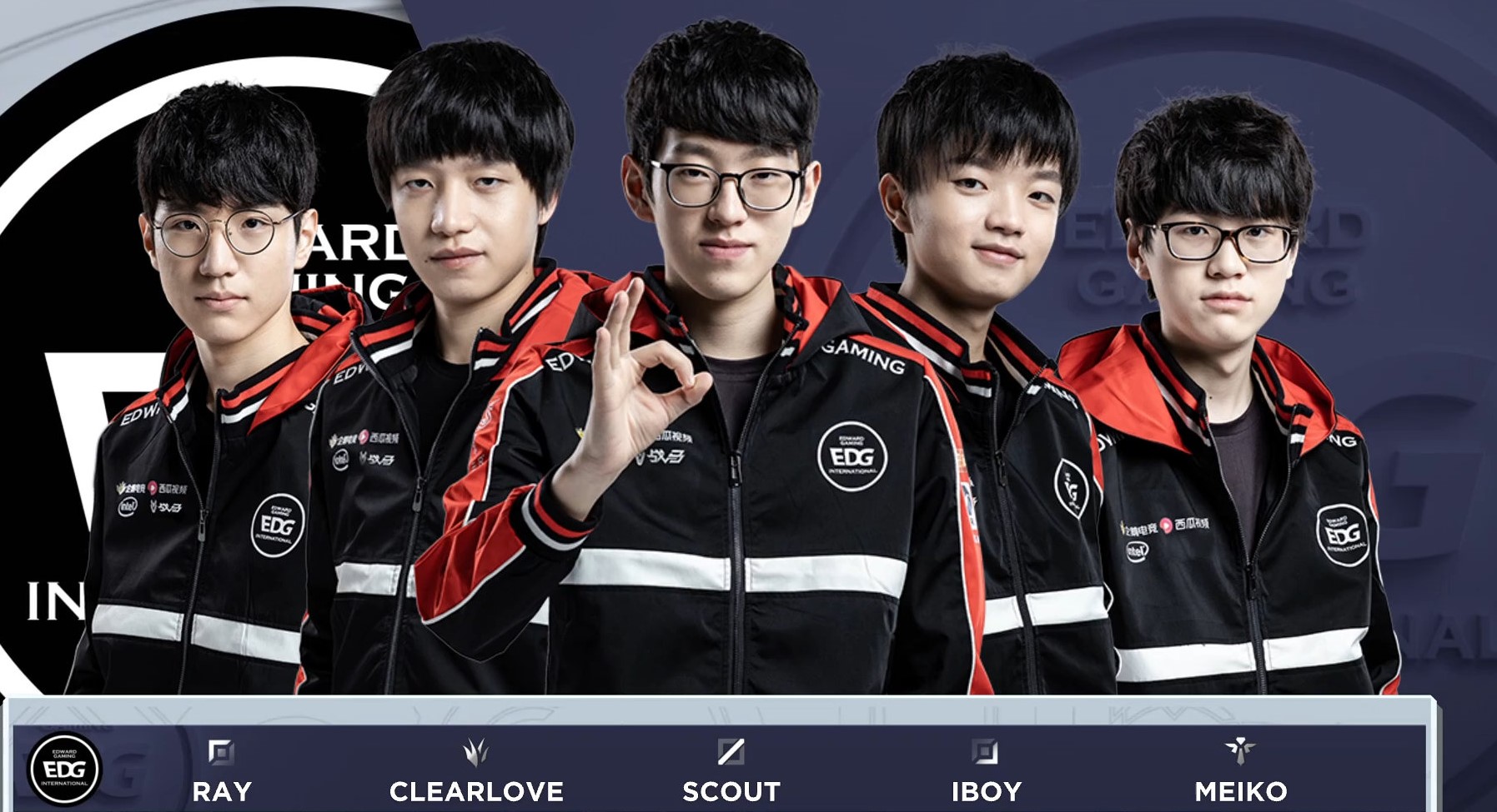 老鹰状元郎 老鹰状元郎