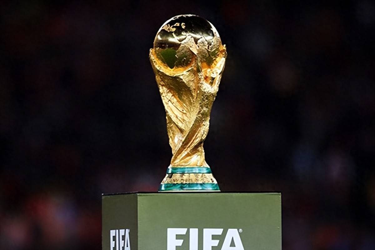 他冷静地指 他冷静地指